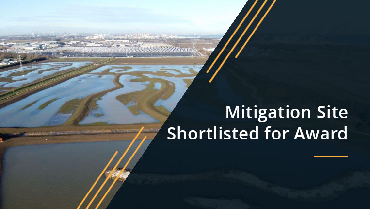 Mitigation Site shortlisted for award